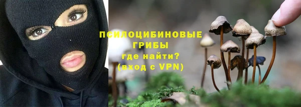 бутират Белокуриха