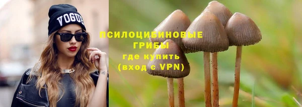 бутират Белокуриха