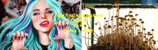 бошки Баксан
