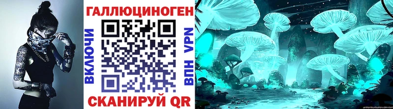 закладки  Навашино  Галлюциногенные грибы Psilocybe 